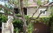 23  Oak Point Drive , Fernandina Beach/Amelia Island, FL