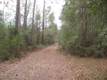 6382  Columbia St , Keystone Heights, FL