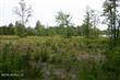 0  Country Estates Rd , Middleburg, FL