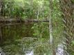 139  Hicks Ave , Crescent City, FL