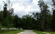 0000  Charter Pointe Way , Middleburg, FL