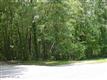 0  Nelson Carnes Dr , Orange Park, FL