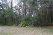 538  Sugar Grove Pl , Orange Park, FL