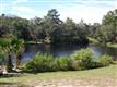 Green Cove Spr