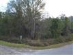 4875  Joseph St , Hastings, FL