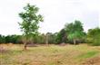 9446  Ida St , Jacksonville, FL