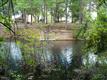 Green Cove Spr