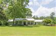684  Tara Farms Dr , Middleburg, FL