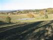 Mosheim