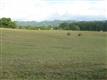 Jonesborough