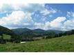Boone