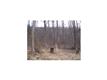 323  Little Germany Road , Erwin, TN