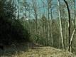199  Gunsmoke Lane , Erwin, TN