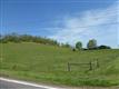 Kingsport
