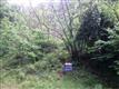 TBD  Wood Ave , Elizabethton, TN