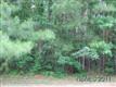 208  Drake Landing , New Bern, NC