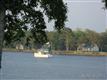 Havelock