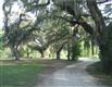 EARL  Bennett Rd , Pearl River, LA
