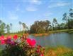 BALD  Eagle (Lot 305) Dr , Abita Springs, LA