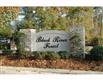 BLACK  Jack Oak Dr , Madisonville, LA