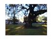 Harahan
