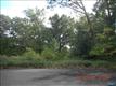 Hawthorne