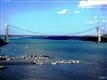 Edgewater