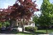    , Westwood, NJ