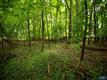 35  Kinderkamack Rd , Park Ridge, NJ