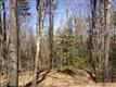   Fogarty Road , Barrington, NH