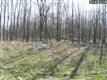3  Knotty Pine Ln , Hambden, OH