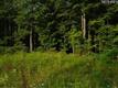 9  Knotty Pine Ln , Chardon, OH