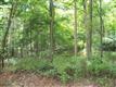 0  French Hill Rd NW, Bolivar, OH
