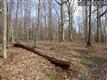 19830  State Rd , North Royalton, OH