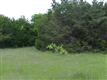 40041  Elmwood Drive , Whitney, TX