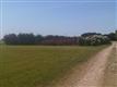 10317  County Road 106 , Celina, TX