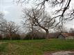 239  Sam Davis Road , Argyle, TX