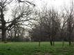 5 N Landseer Drive , Copper Canyon, TX