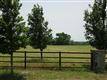 8  Orions Way , Celina, TX