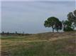 4193  Fm 2931 , Aubrey, TX