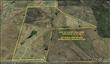 8457 NE County Road 2050 , Chatfield, TX
