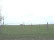 122 County Rd 2937, Decatur, TX 76234