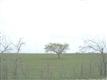 122 County Rd 2937, Decatur, TX 76234