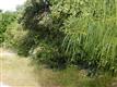 7024 Edgemere Place, Lake Worth, TX 76135