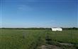 6234  Fm 879 , Ennis, TX