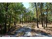 195  Deer Crossing Drive , Pottsboro, TX