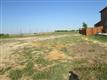 113  Springbrook Drive , Prosper, TX
