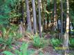258 Sudden Valley, Bellingham, WA 98229