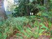 258 Sudden Valley, Bellingham, WA 98229
