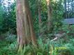 258 Sudden Valley, Bellingham, WA 98229
